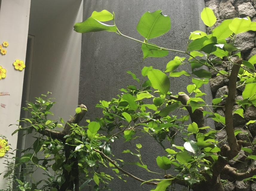 CÔNG TY TNHH TƯ VẤN THIẾT KẾ XÂY DỰNG LÊ GIA PHÁT