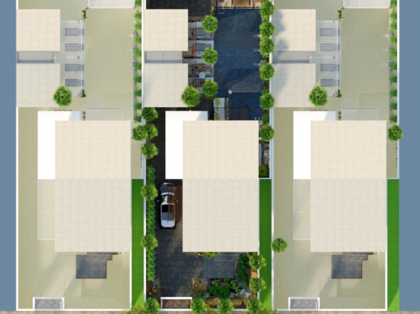 ANH THÂN THƯỜNG TRIẾT