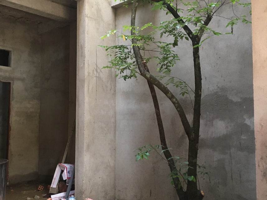 THI CÔNG NHÀ Ở ANH LÊ THÀNH ĐÌNH PHÚ