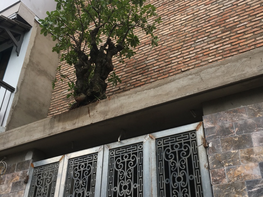 THI CÔNG NHÀ Ở ANH LÊ THÀNH ĐÌNH PHÚ