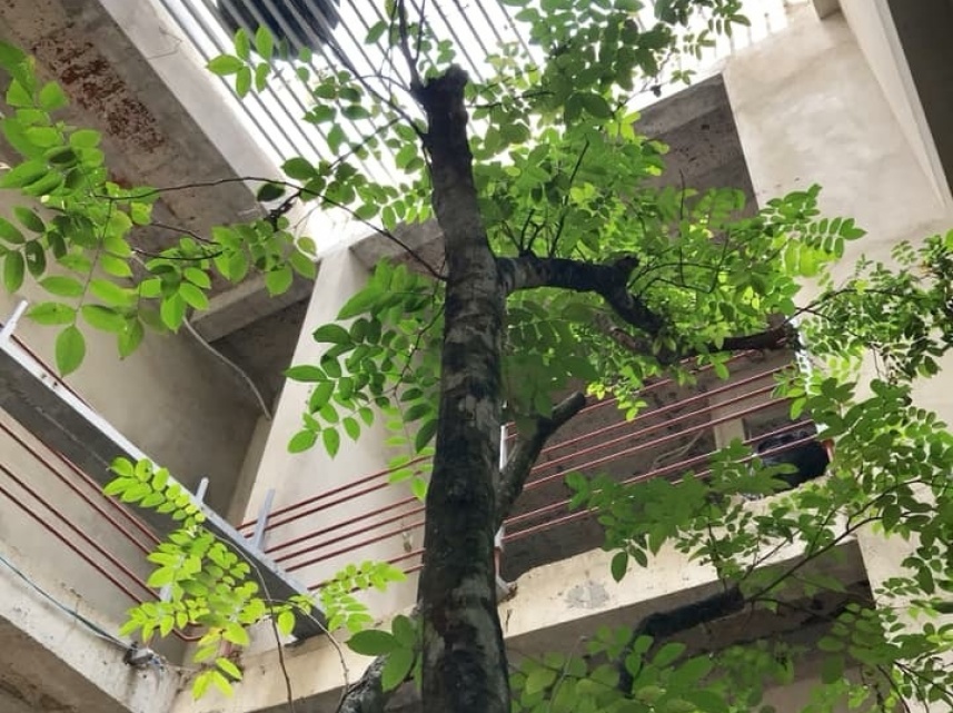 THI CÔNG NHÀ Ở ANH LÊ THÀNH ĐÌNH PHÚ